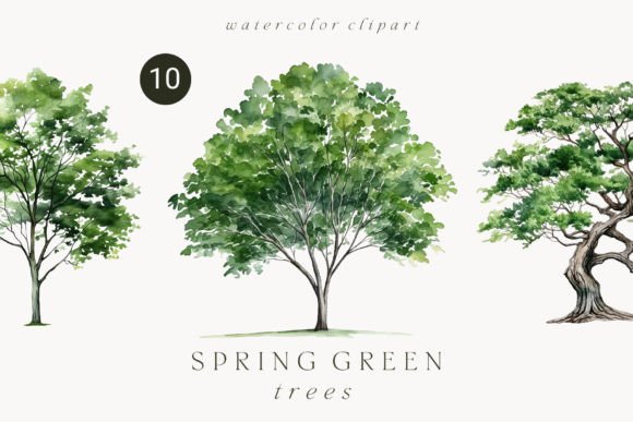 Download Watercolor Green Tree Forest Clipart - Forest clipart Collection